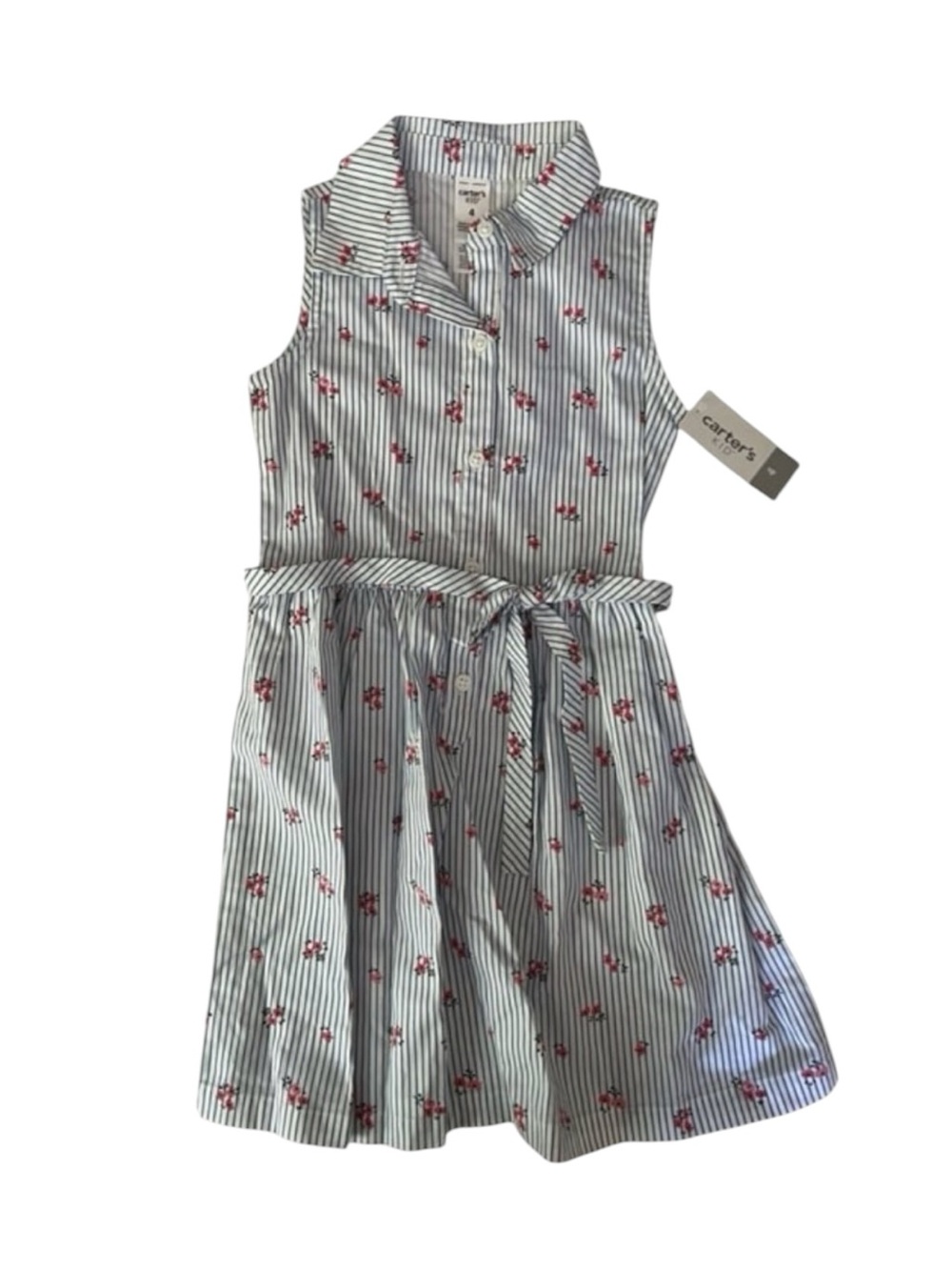 NWT Carter’s Poplin Dress